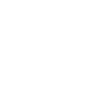 Parkitect - Aussie Owned and Operated white logo